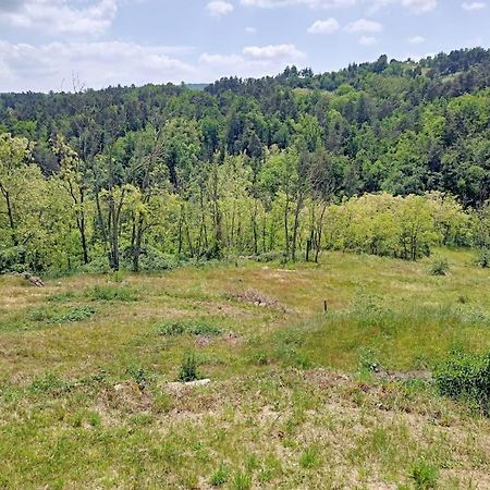 Ecrin De Verdure En Ardeche Verte Colombier-le-Vieux Екстериор снимка