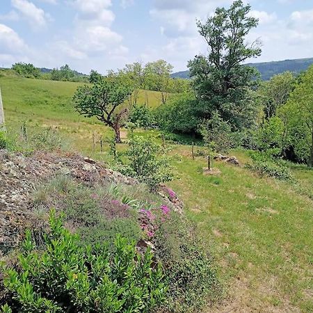 Ecrin De Verdure En Ardeche Verte Colombier-le-Vieux Екстериор снимка