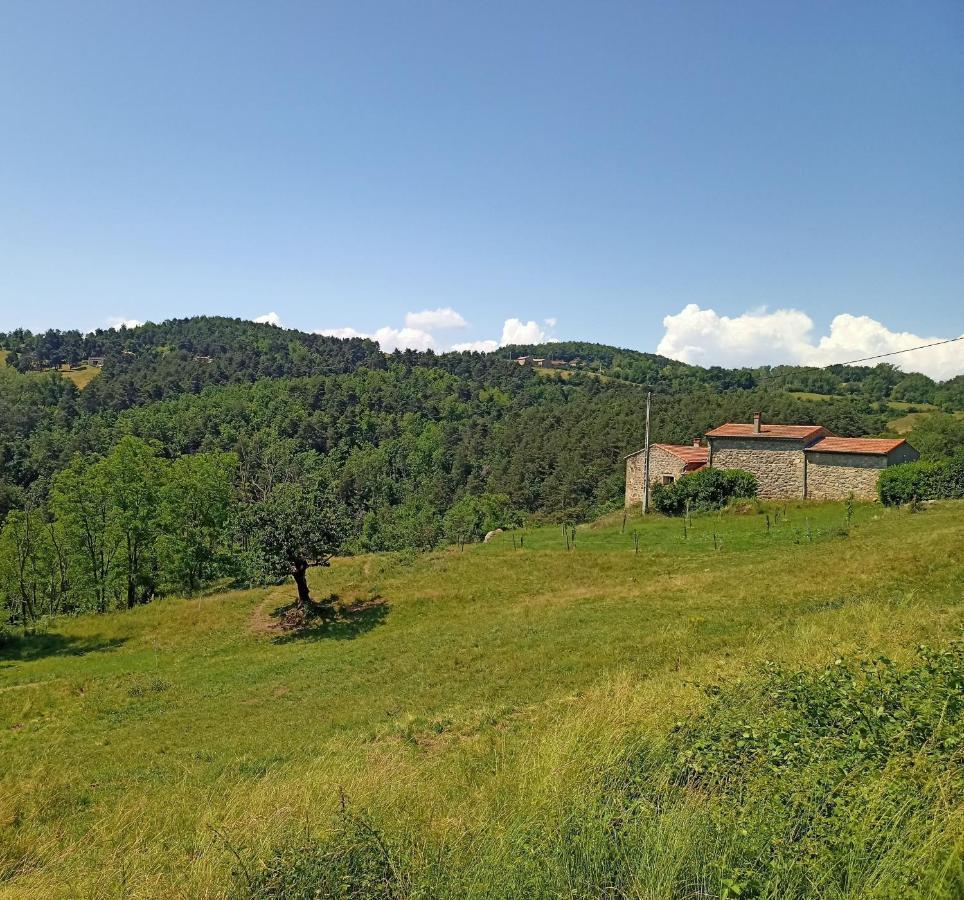 Ecrin De Verdure En Ardeche Verte Colombier-le-Vieux Екстериор снимка