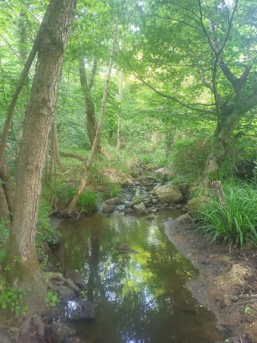 Ecrin De Verdure En Ardeche Verte Colombier-le-Vieux Екстериор снимка